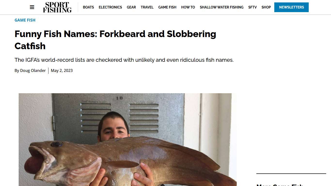 Odd Hake and Catfish Names | Sport Fishing Mag