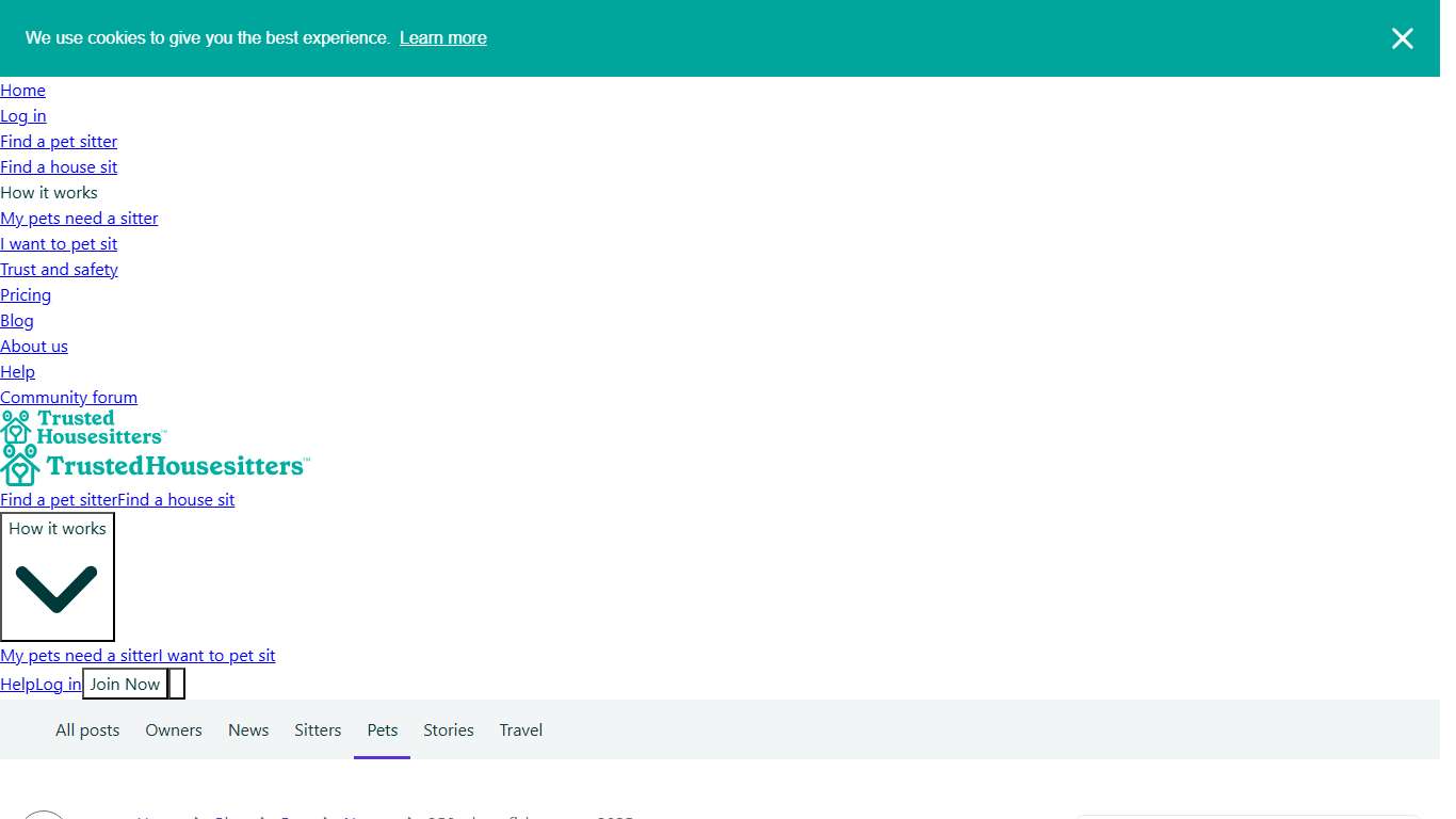 350+ Best Fish Names | TrustedHousesitters.com